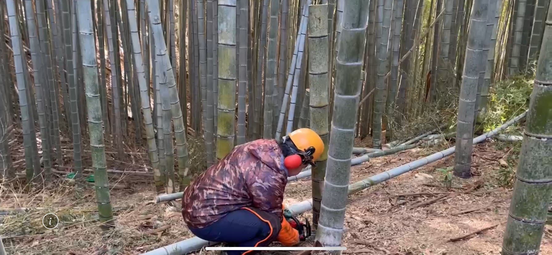 体験